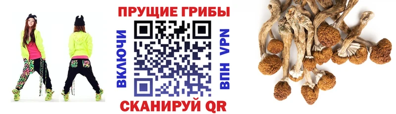 Галлюциногенные грибы ЛСД  Иланский 